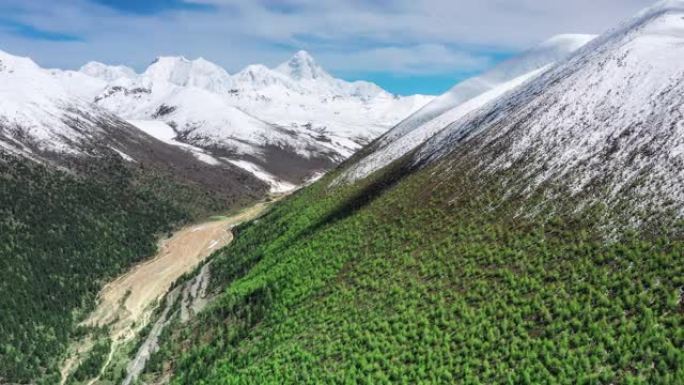 绿林的贡嘎雪山就像抹茶冰淇淋