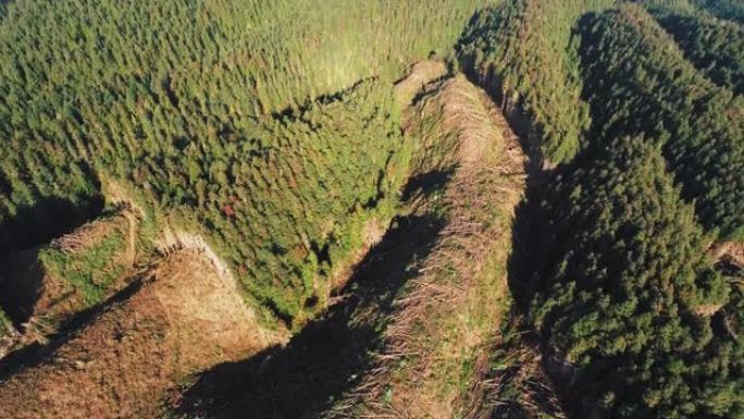 山上的树木被砍伐山谷峡谷山林森林树林