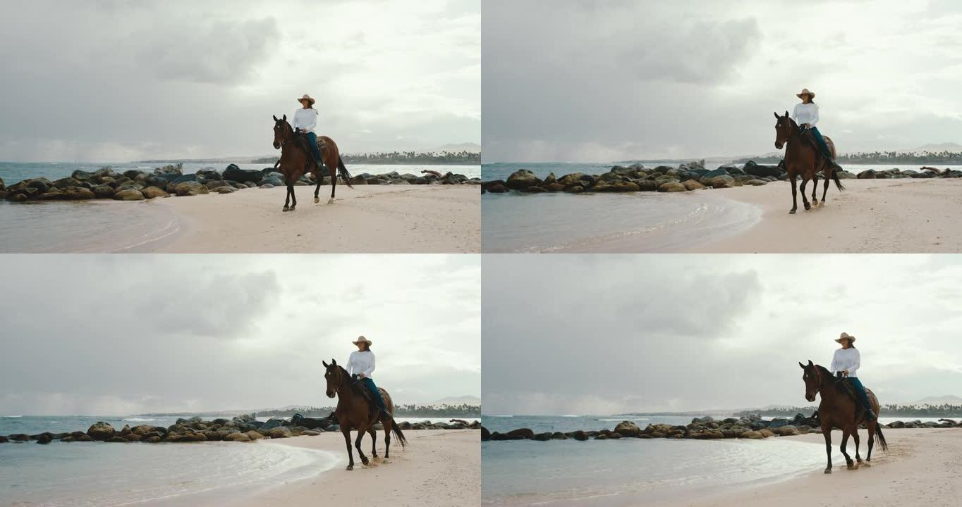 在海滩上骑马