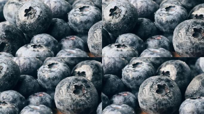 蓝莓蓝莓水果有机