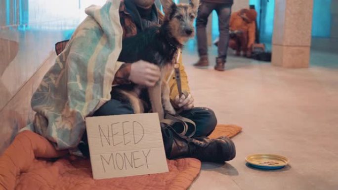 一个无家可归的人，他旁边有一只狗和一个 “需要钱” 的标志