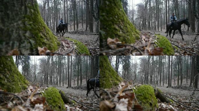 森林里骑马的女孩