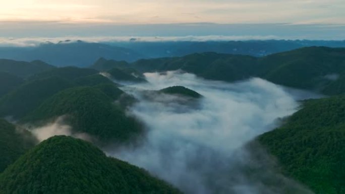 山里的晨雾晨雾云海自然风光晨雾森林