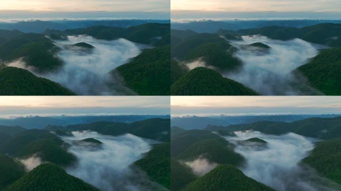 山里的晨雾晨雾云海自然风光晨雾森林