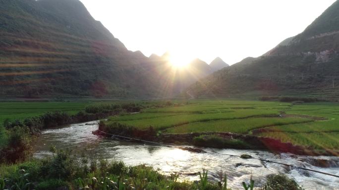 阳光下的乡村稻田小溪流水