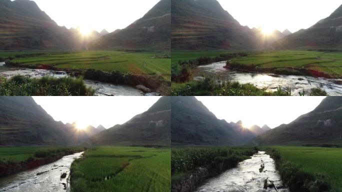 阳光下的乡村稻田小溪流水