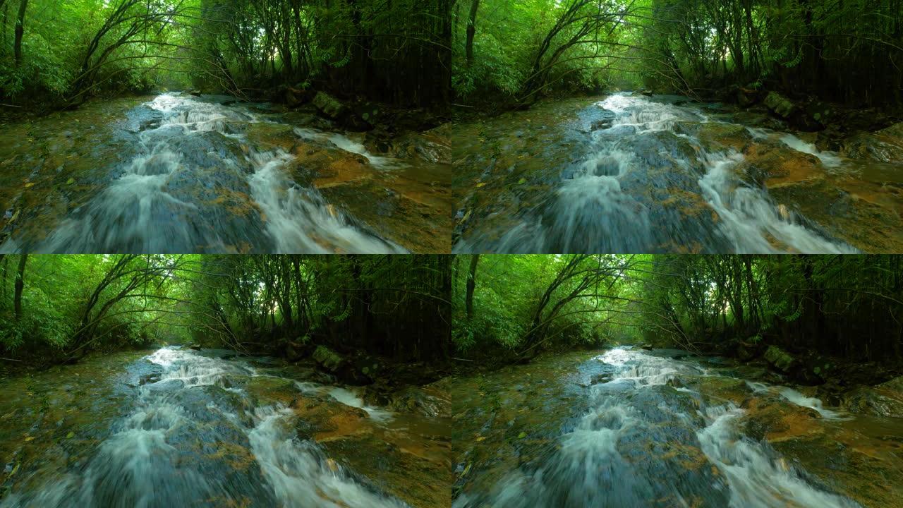 森林溪流溪流水流