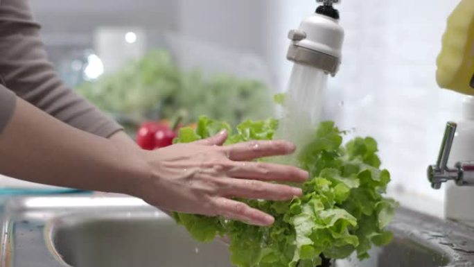 手洗蔬菜，洗有机绿色沙拉