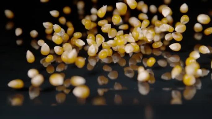 宏观: 玉米粒在抛光桌子周围掉落和弹跳的特写镜头。