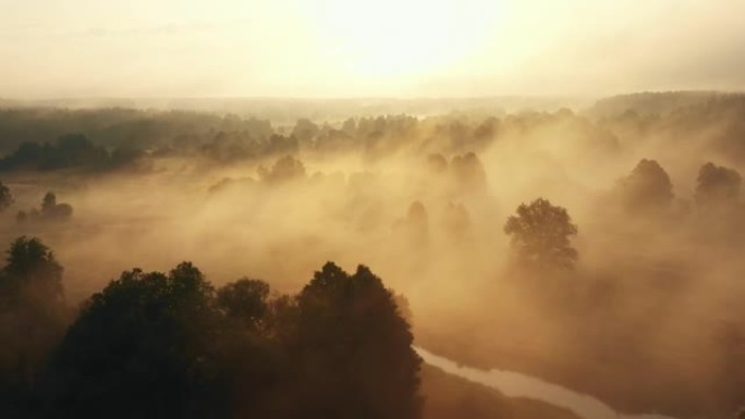 在夏季黎明，无人驾驶飞机在令人难以置信的日出山谷，树木和河流上向后飞行，覆盖着浓雾。