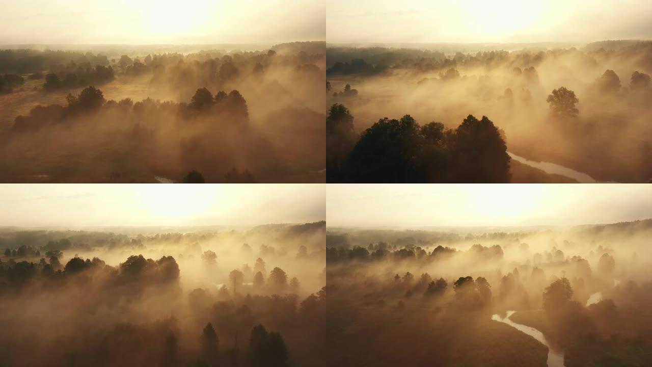 在夏季黎明，无人驾驶飞机在令人难以置信的日出山谷，树木和河流上向后飞行，覆盖着浓雾。