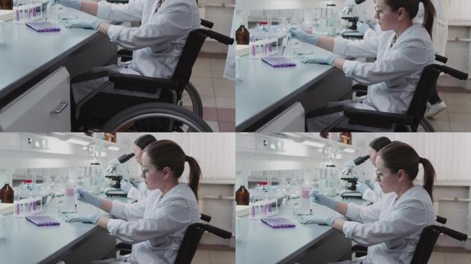与同事一起在实验室工作的残疾女科学家