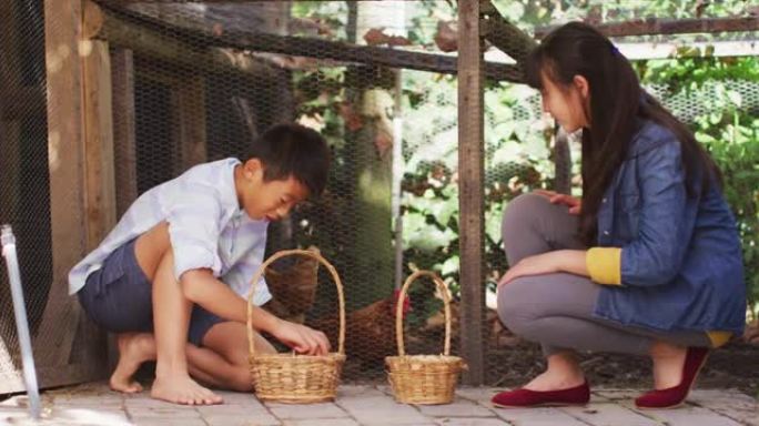 快乐的亚洲兄妹带着篮子从花园里的鸡舍收集鸡蛋