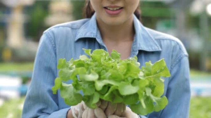 手握生菜慢动作女人卷心菜手里