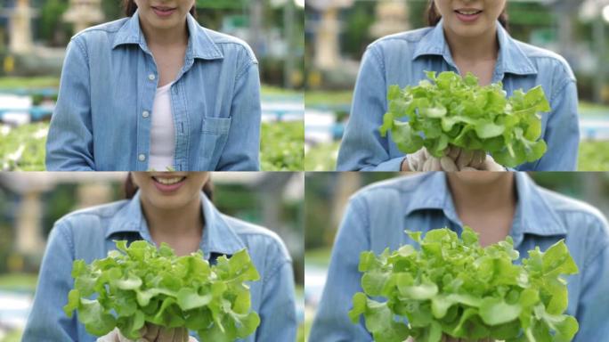 手握生菜慢动作女人卷心菜手里