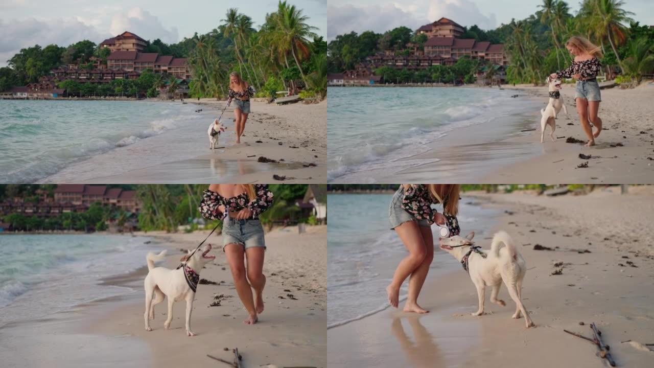 女人在沙滩上与狗一起奔跑