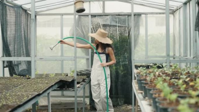 亚洲妇女在她的家庭花园中照顾植物