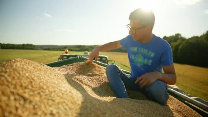 慢动作男农夫坐在装满黄色谷物的拖车上，使谷物通过他的手