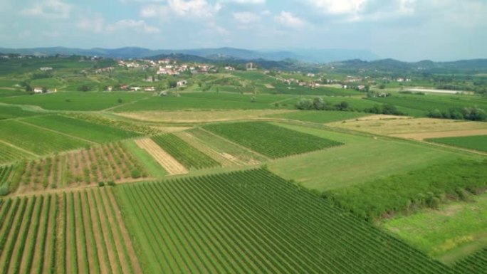 空中: 地中海葡萄酒区广阔葡萄园的无人机视角。