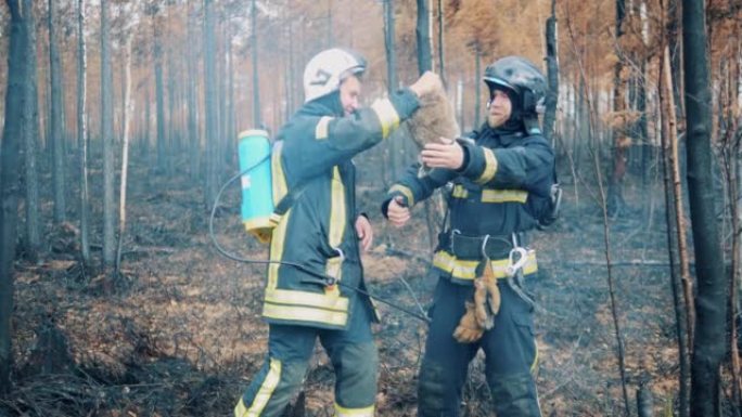 消防员正在火区抚摸一只获救的兔子