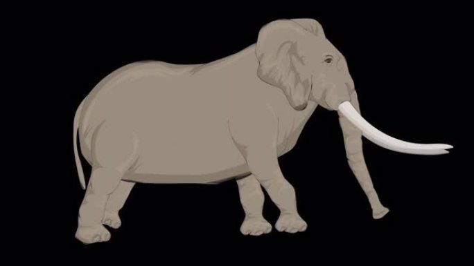 奔跑疲惫的大象卡通动画 (透明背景/ProRes 4444) 的概念动物，野生动物，游戏，返校，3d