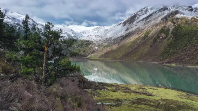 原始森林的背后，是雪山和湖泊