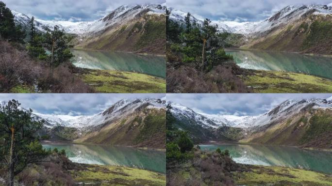 原始森林的背后，是雪山和湖泊