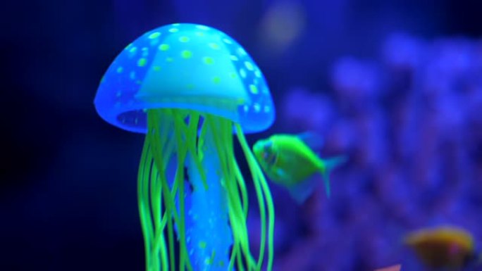 紫外线下的水族馆水下奇观世界艺术