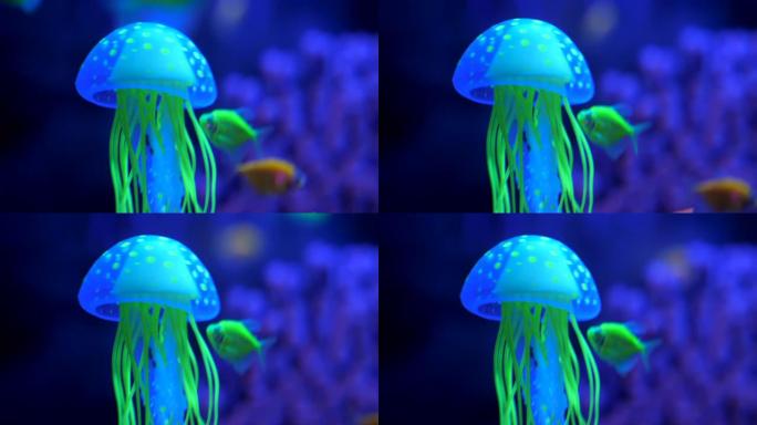 紫外线下的水族馆水下奇观世界艺术
