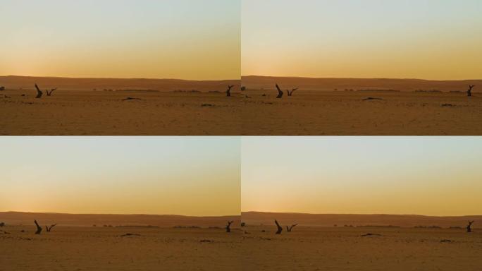 非洲纳米比亚日落时的WS田园诗般的Deadvlei沙漠景观