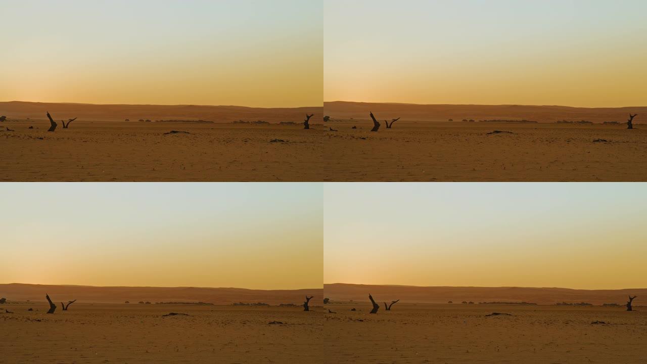 非洲纳米比亚日落时的WS田园诗般的Deadvlei沙漠景观