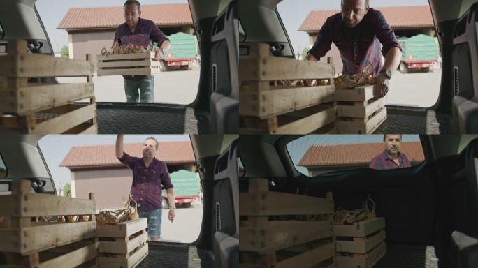 SLO MO Farmer将装满玉米芯的板条箱放在汽车后备箱中