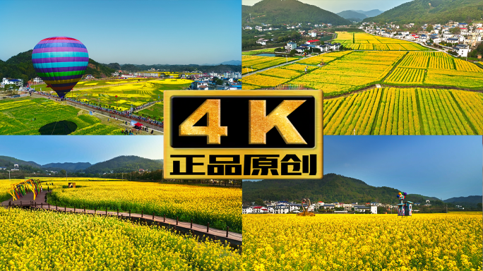 油菜花 乡村振兴 亲近自然