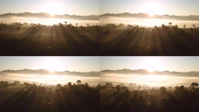 烟雾弥漫的森林和山中的日出鸟瞰图