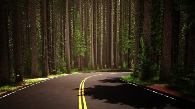 夏季有道路的云杉森林的数字生成图像