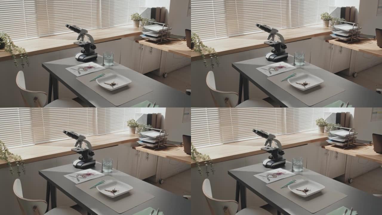 桌子上解剖青蛙显微镜