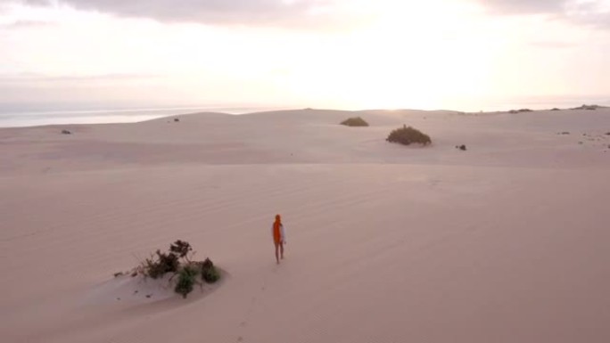 空中: 女人穿过沙漠走向海洋