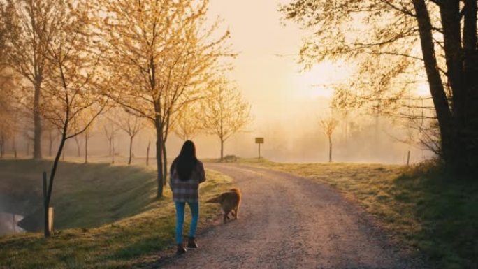 年轻女子带着她的狗在雾蒙蒙的路上散步