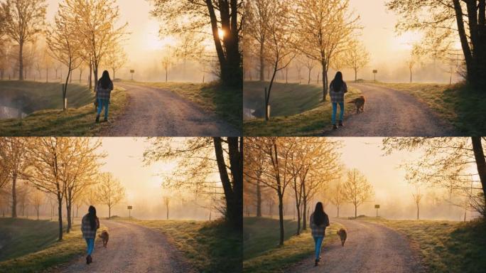 年轻女子带着她的狗在雾蒙蒙的路上散步