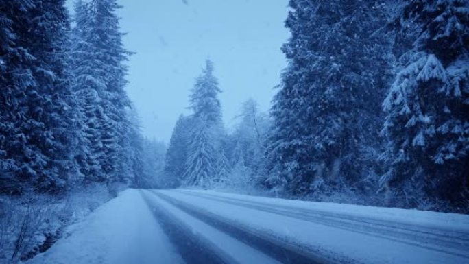 穿过树林的道路上有大雪