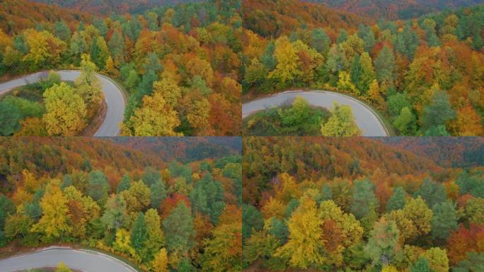 AERIAL: Flight over road curve towards colorful fo
