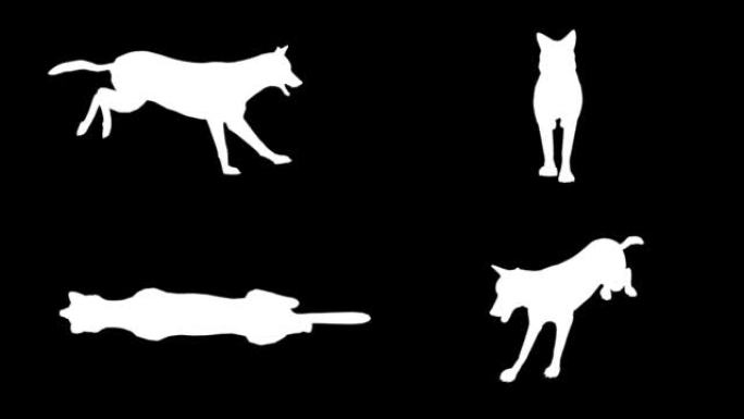 黑色背景上的奔跑狼轮廓。动物的概念，野生动物，游戏，返校，3d动画，短视频，电影，卡通，有机，色键，
