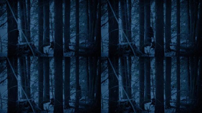 人在黑暗中穿过白雪皑皑的树林