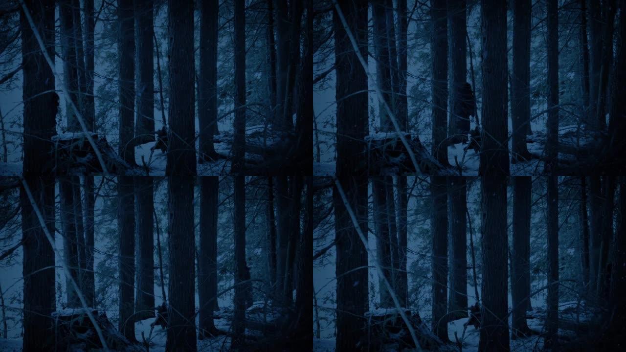 人在黑暗中穿过白雪皑皑的树林