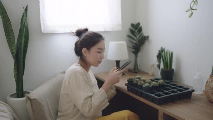 千禧一代女性拍摄仙人掌室内植物