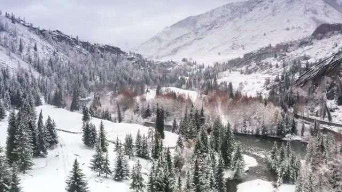 森林里下了一整夜的雪，树林变成了梦幻般的雾凇，河水仍然穿过