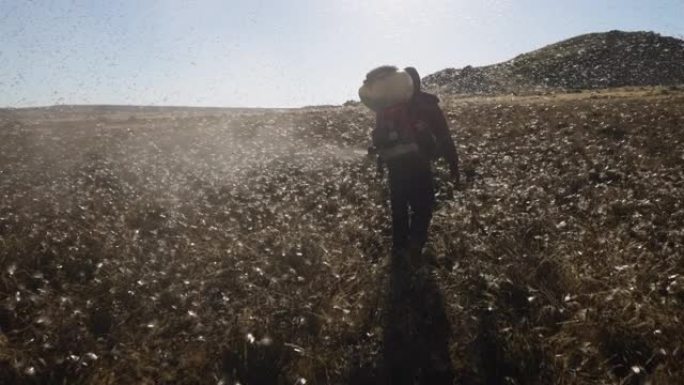 慢动作。黑人农民在数以百万计的棕色蝗虫群上行走和喷洒杀虫剂，使非洲的农作物与全球变暖，气候变化，气候