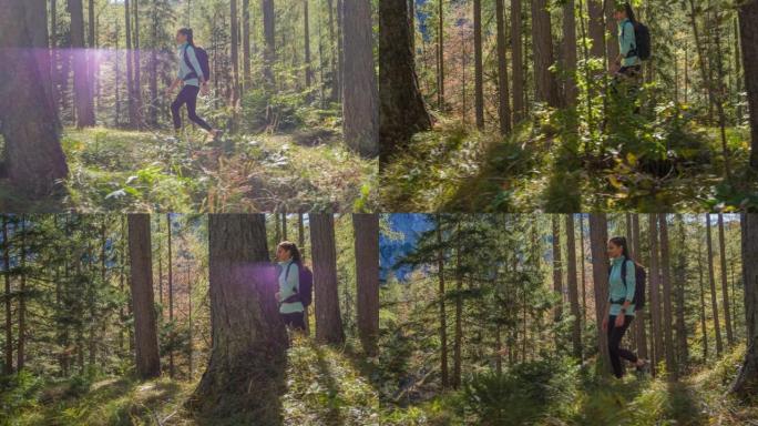 夏天，健康的女人在充满活力的绿色阳光森林小径上徒步旅行
