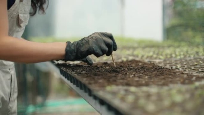 亚洲女人在家快乐地在花园里工作