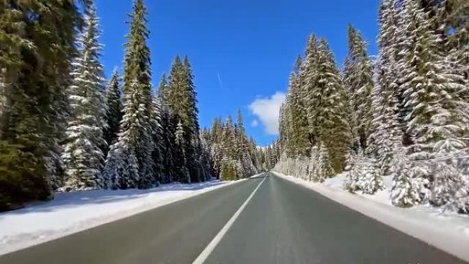 穿越雪白森林的雪乡公路上的驾驶视点